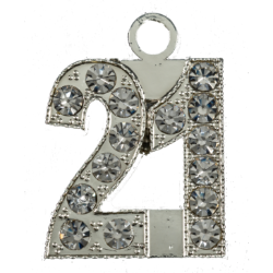 21 silver bling year date