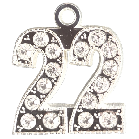 22 Silver bling year date