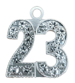 23 silver bling
