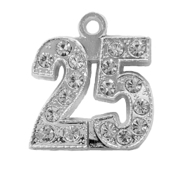 25 Silver Bling Year Date