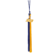 Royal Blue and Gold Block tassel with gold 2022 year date