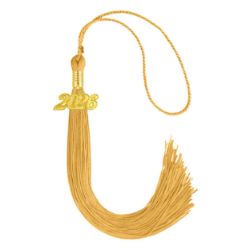 Graduation Tassels graduation tassel, custom tassel, year charm tassel, gold tassel, silver tassel, multi-color tassel, cap tassel,