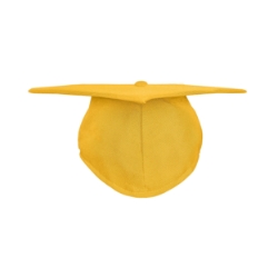 Matte Bachelor Caps  - BACAP