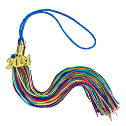 Rainbow tassel with gold 2024 year date
