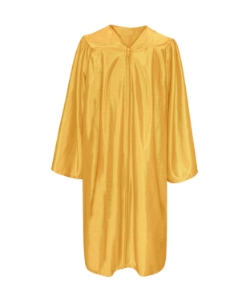 Gold Shiny Gown