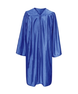 Royal Shiny Gown